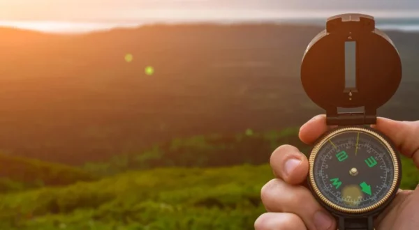 A Search for Daily Meaning: Building a Purpose-Driven Career